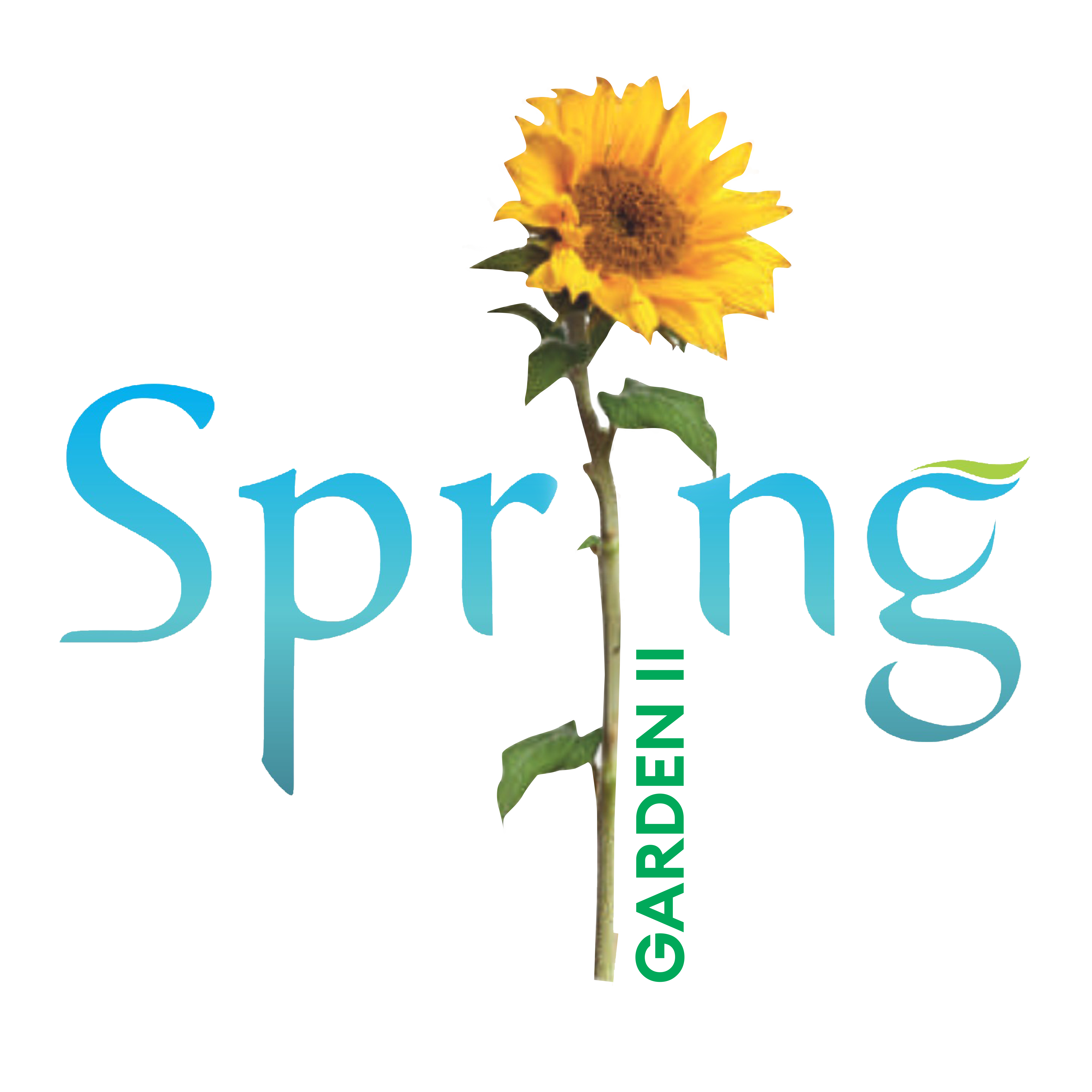 Reciprocal Green Logo